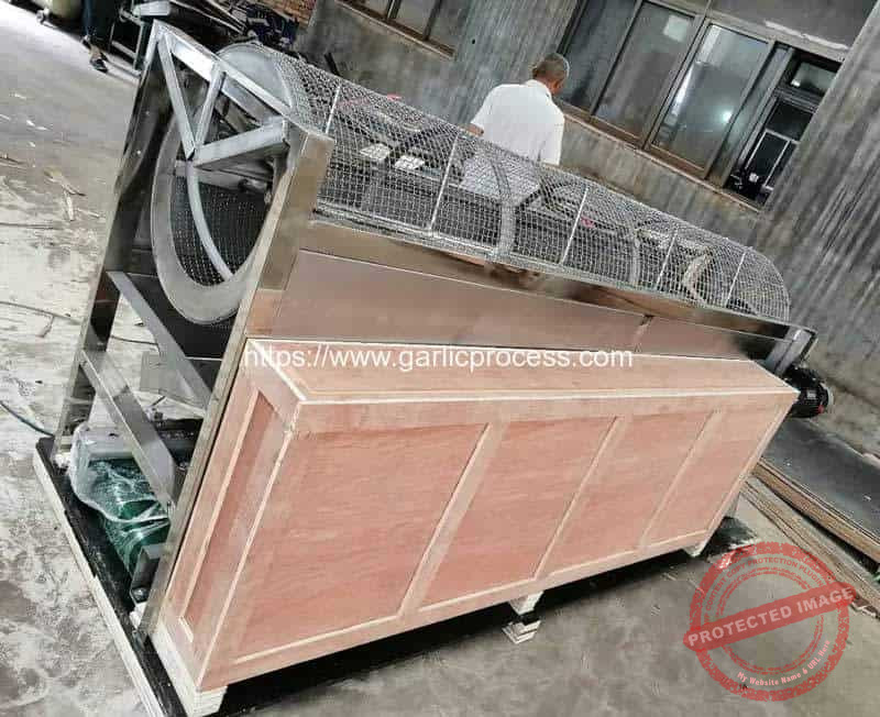 Automatic-Garlic-Seeds-Size-Sorting-Machine-for-Thailand-Customer